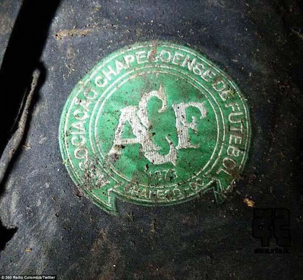 3AD80BF800000578-3980974-Images_from_the_site_reveal_the_mangled_wreckage_of_the_plane_an-a-43_1480408091311