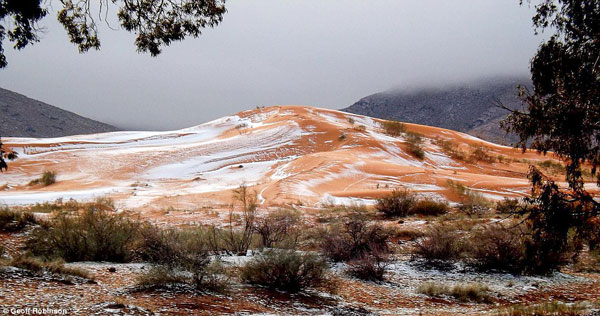 3B88FCFD00000578-4051448-Karim_captured_the_amazing_moment_snow_fell_on_the_red_sand_dune-a-79_1482235554953