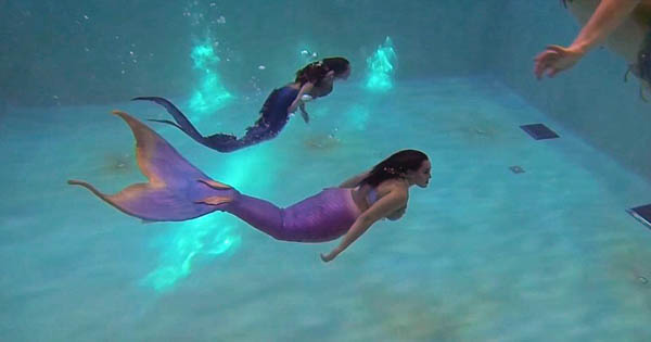 3C2EC37D00000578-4125624-Mermaids_in_action_Seattle_s_merfolk_head_to_an_indoor_pool_to_g-a-28_1484604140092