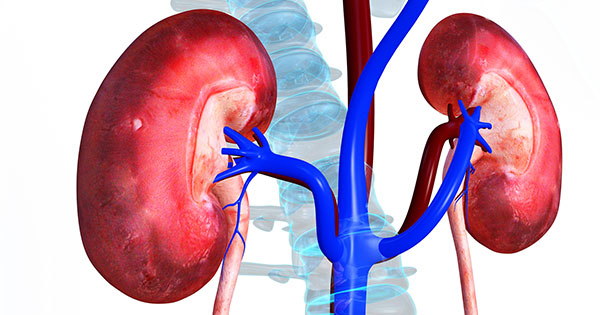 share-kidney-failure