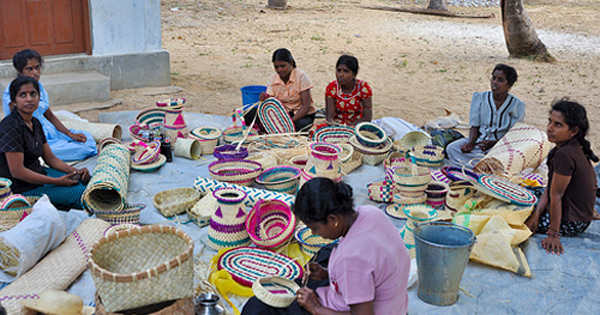 6645354725_327eebda8f