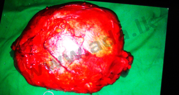 ???????????????????????????????