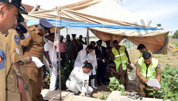 625.0.560.320.160.600.053.800.700.160.90 (11)