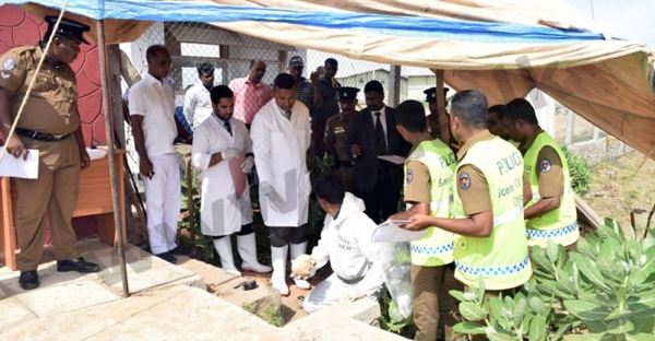 625.0.560.320.160.600.053.800.700.160.90 (12)