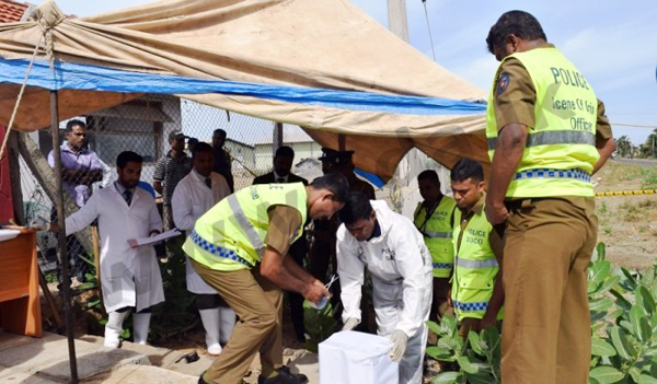 625.0.560.320.160.600.053.800.700.160.90 (13)