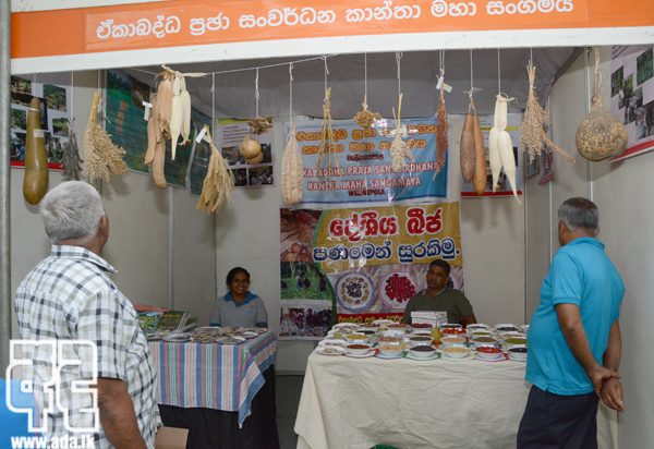 AID_2386