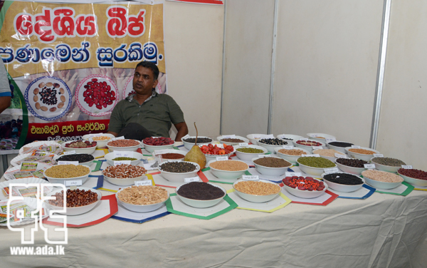 AID_2391