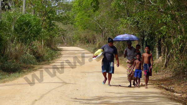 දිය නෑමට සැතපුම් ගනනක් දුර යන අයුරු