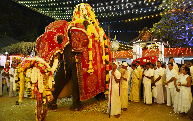 Kataragama-Esala-Festival-4