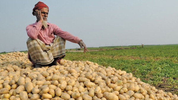Scope-for-potato-processing1 copy