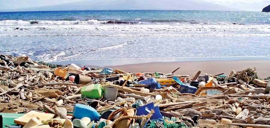 marine pollution in sri lanka essay