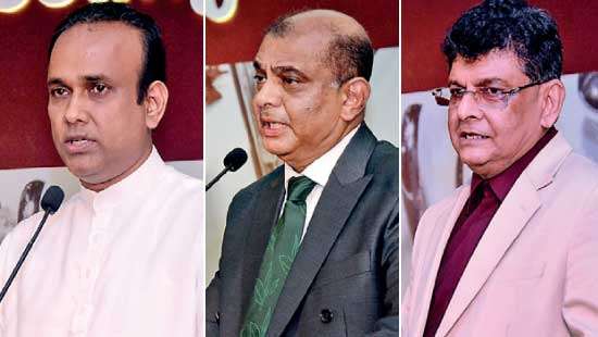 Ceylon Tea industry eyes transformation - Business News | Daily Mirror