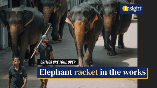 dailymirror.lk
