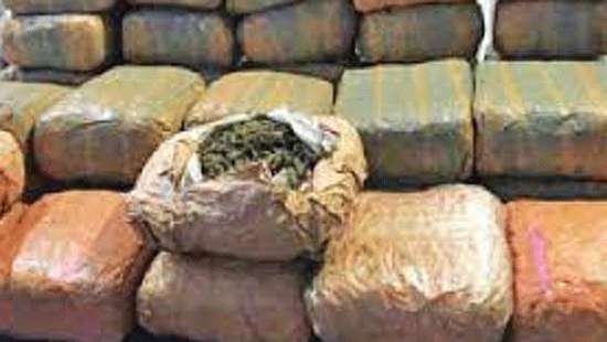 Navy Seizes Over 200 Kg Of Kerala Cannabis, 3 Arrested - Latest News ...