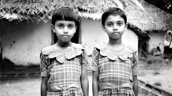 dailymirror.lk