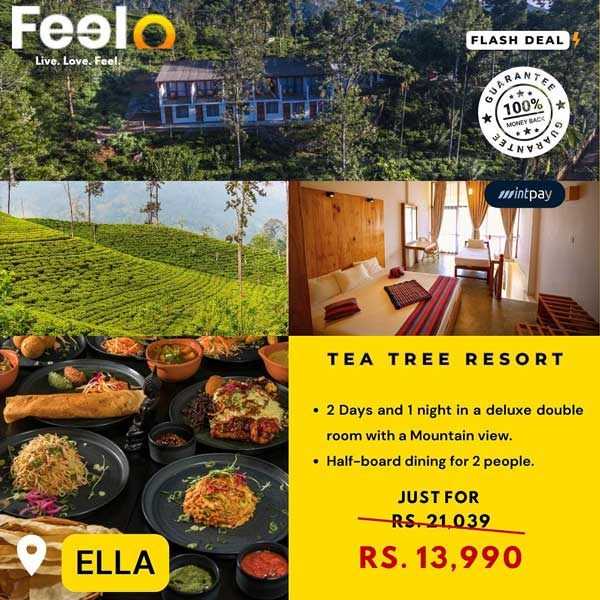 Get special price for all bookings @ Tea Tree Resort Ella