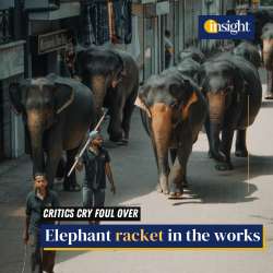 Free the education from violence - Opinion | Daily Mirror