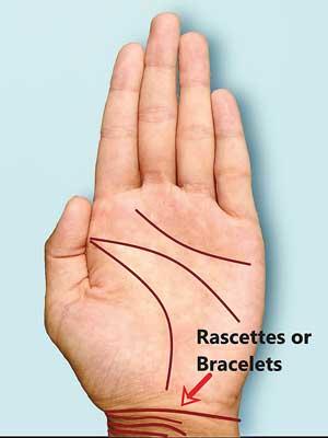 What does it mean to have 'four bracelets or rascette lines' in palmistry?  - Quora