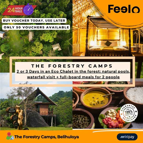 Get special price for all bookings @ The forestry Camps