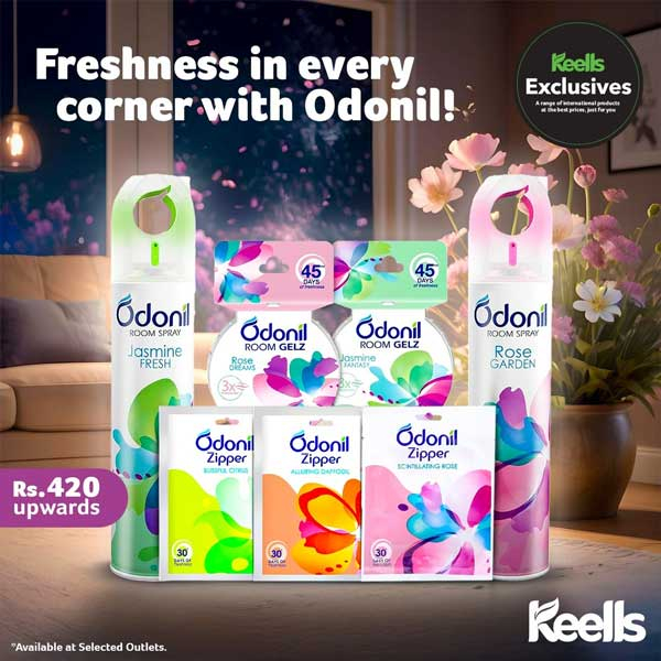 Transform your space with the refreshing touch of Odonil