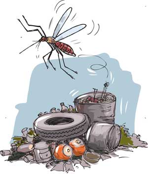 Daily Mirror - Sri Lanka Latest Breaking News and Headlines - Print Edition  Citizens awake, join the war on Dengue