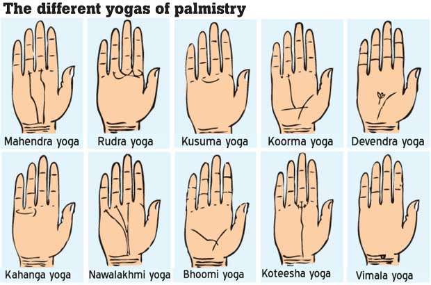 Human hand – trailblazer of Human Civilization Read your fortune from yogas  formed on your palm 