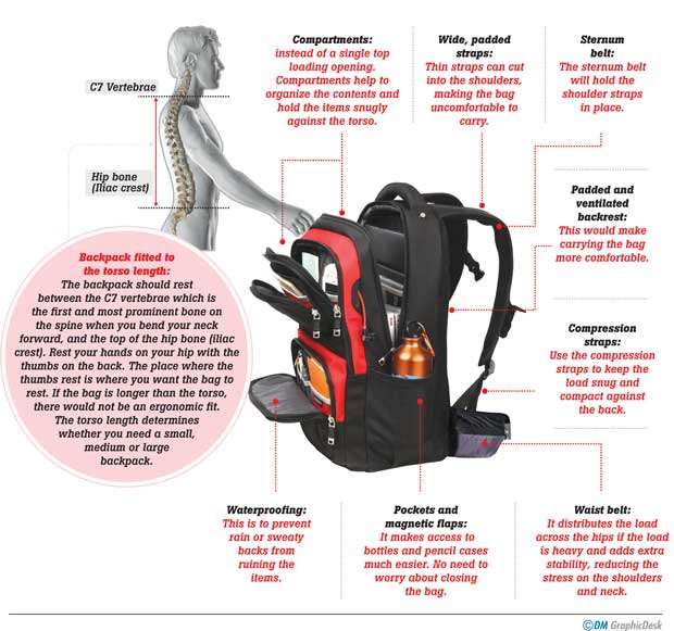 Different types clearance of school bags