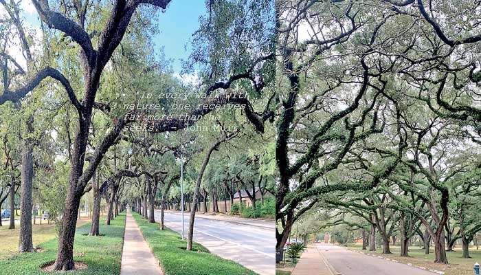 Musings from Houston: Embrace challenges and be ready to take off