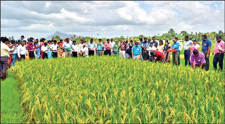 Expert FAO Training For 300 Agriculture Extension Officers Daily FT Expert FAO Training For 300 Agriculture Extension Officers Daily FT