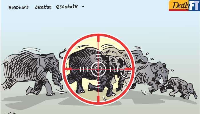 Cartoon 23.07.2025