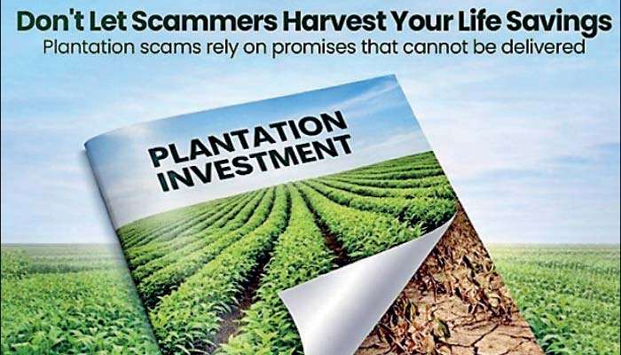 Super agri-profit investors: Central Bank has no medicine for greed