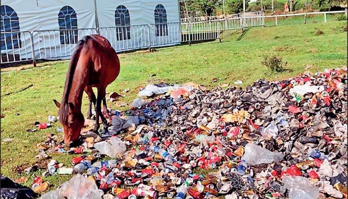 Nuwara Eliya, a place in your imagination