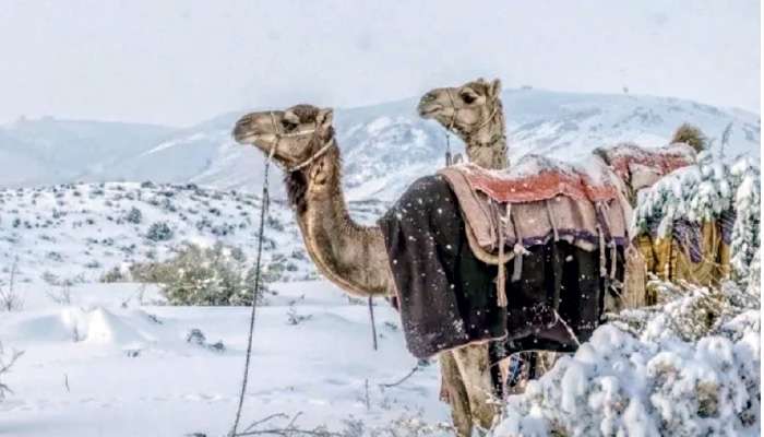 Saudi Arabia witnesses rare snowfall for first time in 30 years
