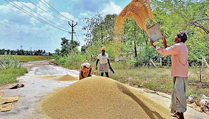 Agriculture is not Sri Lanka’s past, it is its strategic future