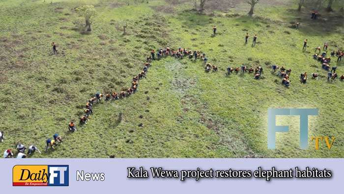 Kala Wewa project restores elephant habitats