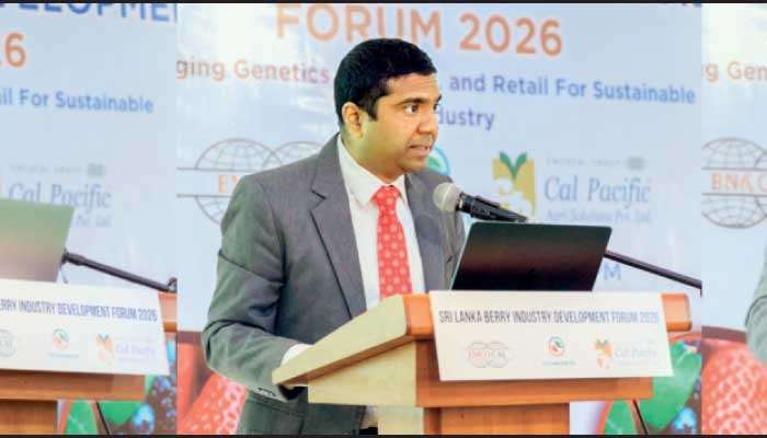 Govt., industry and researchers discuss opportunities to develop high-value berry sector