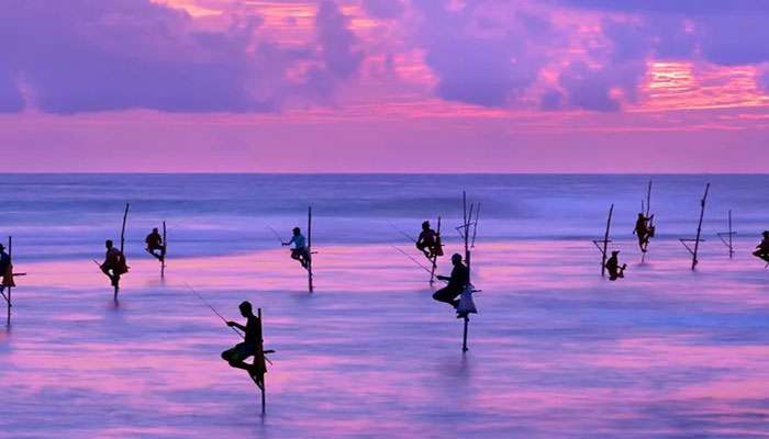 Sri Lanka among ‘3 Must-Visit Travel Destinations for Summer 2024’ | Daily FT