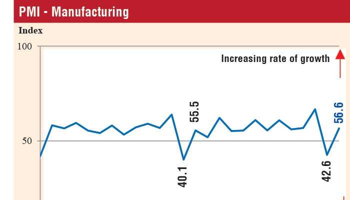 Manufacturing, services PMI improves in May