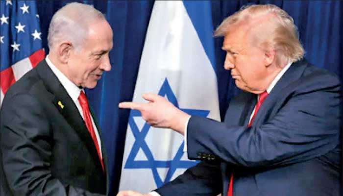 When the grass suffers