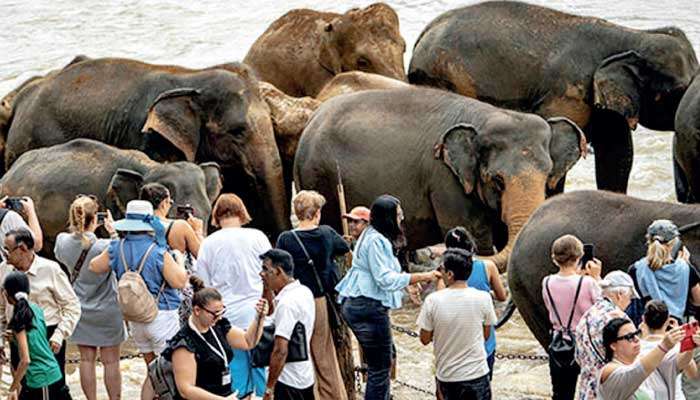 Sri Lanka’s tourism at crossroads: Wake-up call on World Tourism Day