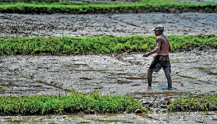 When farmers become poor and poor households turn to farming