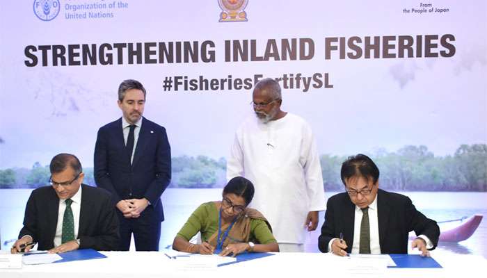 Japan provides $ 3 m through FAO to strengthen inland fisheries, rural livelihoods