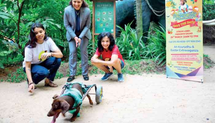 Paw-Sperity  Xtravaganza: A day out for whole family on 29 March