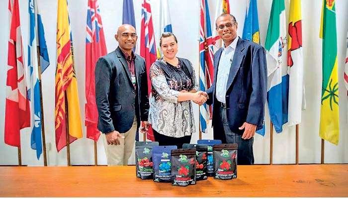 Global Harvest introduces “Snow Farms” Canadian berries to Sri Lanka