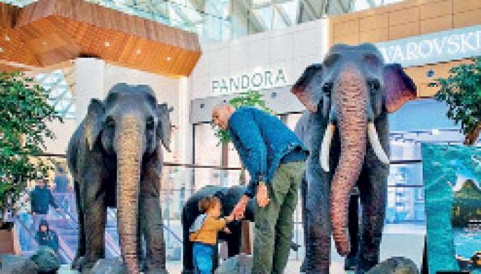 Third edition of “Sri Lanka: A Cultural Odyssey” in Milan