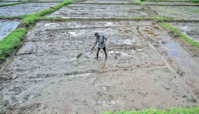 Sri Lanka’s collision with nature: Lessons from India to address agrarian question and employment