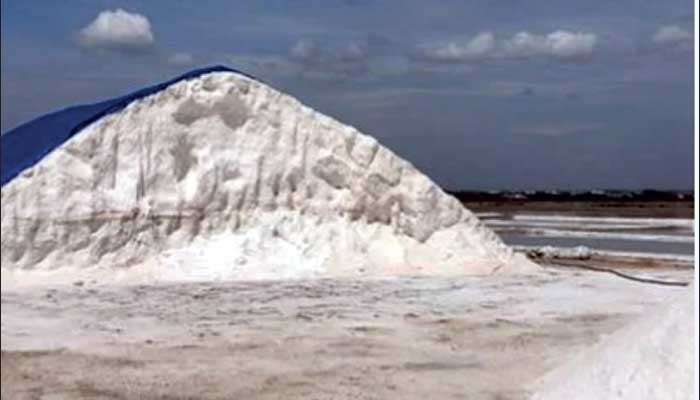 $100 m forex loss due to 1-year delay in decision on 50,000 tons of imported salt