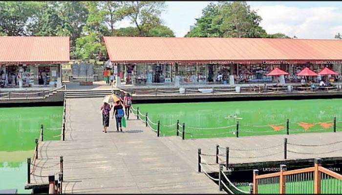 UDA to lease Pettah Floating Market to Japanese investor for $ 160 m