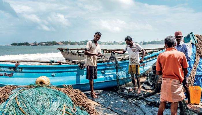Cold chains, hot problems: Fixing Sri Lanka’s fisheries — from catch to export