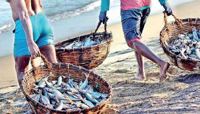 Sri Lanka’s Northern Gateway: Economic promise and geopolitical power in Indian Ocean